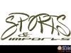 Sports and Imports Logo
