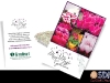 Cyclamen Postcard