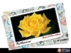 Greenheart Postcard 